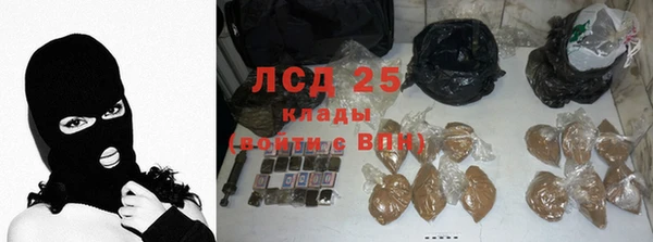 прущие грибы Алзамай