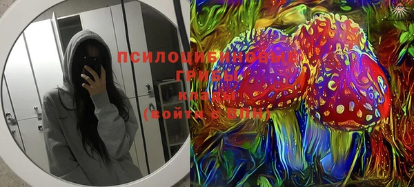 прущие грибы Алзамай